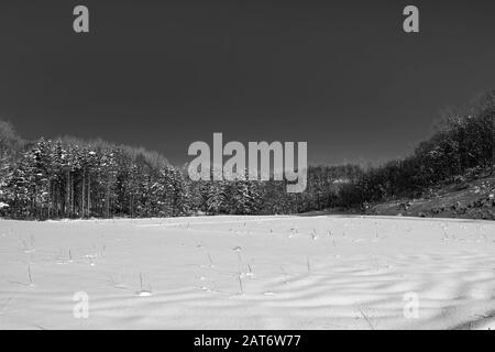 Abstrakte Szenen aus Niseko, Hokkaido, Japan Stockfoto