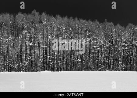 Abstrakte Szenen aus Niseko, Hokkaido, Japan Stockfoto