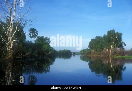 Gelbe Gewässer im Kakadu National Park, Northern Territory, Australien Stockfoto