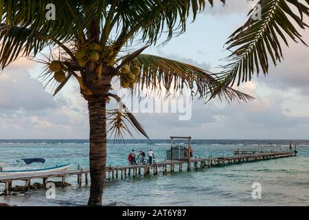 Ein Holzdock mit Schräge erstreckt sich auf das Wasser der Karibik in Mahahual oder Majajual, Quintana Roo, Mexiko. Stockfoto