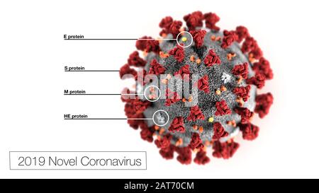 Diese Abbildung, die in den Centers for Disease Control and Prevention (CDC) erstellt wurde, zeigt die ultrastrukturelle Morphologie, die der Roman Coronavirus (COVID-19) aus dem Jahr 2019 zeigt. Beachten Sie die Spitzen, die die äußere Oberfläche des Virus schmücken, die den Blick auf eine Korona um das Virion vermitteln, wenn sie elektronenmikroskopisch betrachtet werden. In dieser Ansicht wurden auch die Proteinpartikel E, S, M und HE, die sich ebenfalls auf der äußeren Oberfläche des Teilchens befinden, markiert. Dieses Virus wurde als Ursache für einen Ausbruch von Atemwegserkrankungen identifiziert, die erstmals in Wuhan, China, entdeckt wurden. Stockfoto