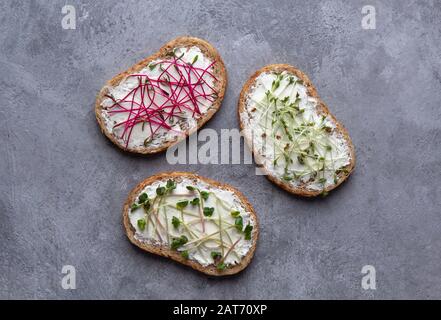 Drei Sandwiches mit Mikrogrüns aus Rettich, Rote Bete und Wassertresse auf grauem Betonhintergrund. Ansicht von oben Stockfoto