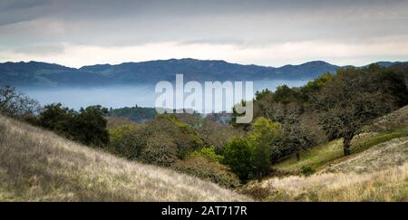California Hills mit Abendnebel in den Bergen des Sonoma County Wine Country. Stockfoto