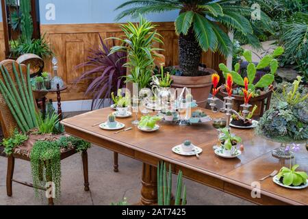 Die Übernahme von Giant Houseplant wird im Glashaus in RHS Wisley Gardens, Surrey, Großbritannien, ausgestellt. Viktorianisches Haus, das von Zimmerpflanzen zurückgefordert wurde. Januar 2020 Stockfoto