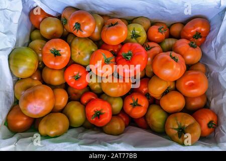 Ca Chua oder Tomaten hoher Qualität, Da Lat, Vietnam Stockfoto