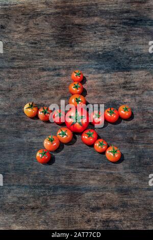 Ca Chua oder Tomaten hoher Qualität, Da Lat, Vietnam Stockfoto