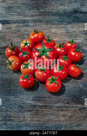 Ca Chua oder Tomaten hoher Qualität, Da Lat, Vietnam Stockfoto