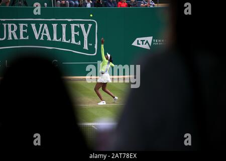 Venus Williams of American during Nature Valley Classic 2019, internationales Damentennis, Tag 2 im Edgbaston Priory Club in Birmingham, England Stockfoto