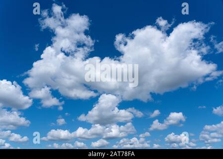 Flauschige weiße Wolken vor einem tiefblauen Himmel Stockfoto