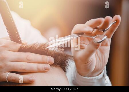 Nahaufnahme des männlichen Friseursalons, Haarschnitt mit Schere, braune Tönung, barber Shop Konzept Stockfoto