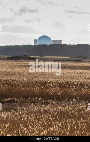 Das Kernkraftwerk Sizewell B Wurde Über Riesige Reedbeds im RSPB Minsmere Bird and Nature Reserve in Suffolk, England, Betrachtet Stockfoto