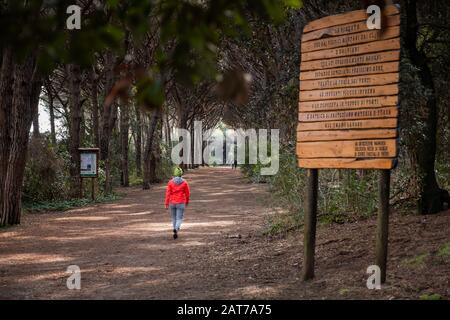 Marina di Cecina - Picknickplätze und Hinweisschilder, die auf Respekt vor den besuchten Plätzen im Kiefernwald hinweisen, die zu Fuß, mit dem Fahrrad und auf h befahrbar sind Stockfoto