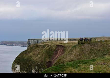 Bempton Cliffs, East Yorkshire, Winter Stockfoto