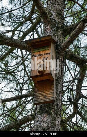 Holzkästchen auf Kiefern in Margalef, Katalonien, Spanien Stockfoto