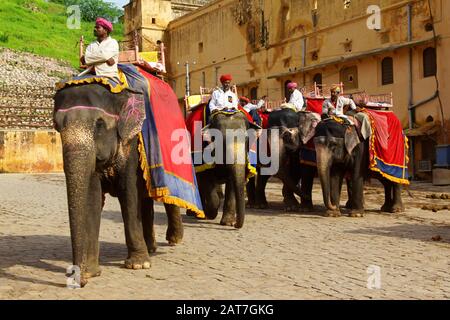 Amer, Indien - 16. August 2016: Einige Mahuts warten darauf, dass Touristen auf dem Elefanten durch das Amber Fort in Amer, Rajasthan, Indien, reiten. The Amer Stockfoto