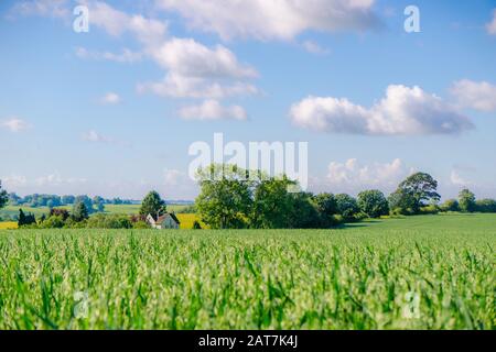 Blick über den Sommerplatz zu einem Cottage Stockfoto