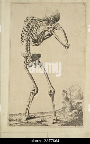 Holzschnittdruck des männlichen Ganzkörper-Skeletts bei der Eröffnung des Buches "Notomie di Titiano", Das 1670 in Italien Gedruckt wurde Stockfoto