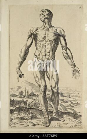 Holzschnitt mit Ganzkörperdesign für Männer bei der Eröffnung des Buches "Notomie di Titiano", Das 1670 in Italien Gedruckt wurde Stockfoto