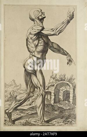 Holzschnitt mit Seitenansicht und männlichem Ganzkörperdesign bei der Eröffnung des Buches "Notomie di Titiano", Das 1670 in Italien Gedruckt wurde Stockfoto