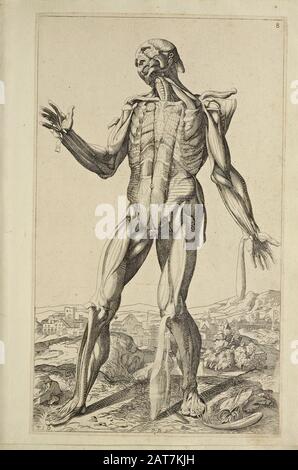 Holzschnitt mit Ganzkörperdesign für Männer bei der Eröffnung des Buches "Notomie di Titiano", Das 1670 in Italien Gedruckt wurde Stockfoto