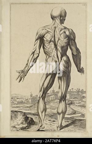 Holzschnittdruck für den Ganzkörper-Rücken bei der Eröffnung des Buches "Notomie di Titiano" für die menschliche Anatomie, Das 1670 in Italien Gedruckt Wurde Stockfoto