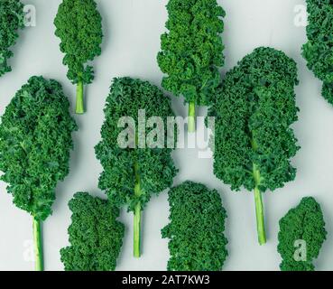 Kale-Muster auf weißem Hintergrund, Draufsicht Stockfoto