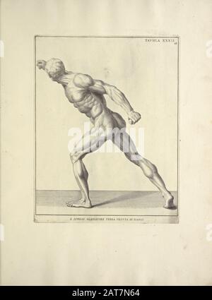Männer Ganzkörper-Seitenansicht Holzschnittdruck der menschlichen Anatomie von Anatomia per uso et intelligenza del disegno gedruckt in Rom 1691 Stockfoto
