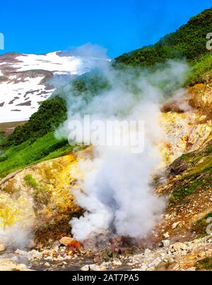 Dachniye heißen Quellen, Geyser-Tal in Miniatur in der Nähe des Mutnovsky-Vulkans auf der Halbinsel Kamtschatka, Russland Stockfoto