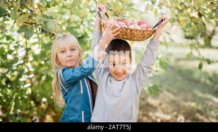 Kinder mit Apfel im Apfelgarten. Erntekonzept. Garten, Junge und Mädchen, die im Herbst Früchte essen. Kind pflückt im Herbst Äpfel auf dem Bauernhof. Kinder an Stockfoto