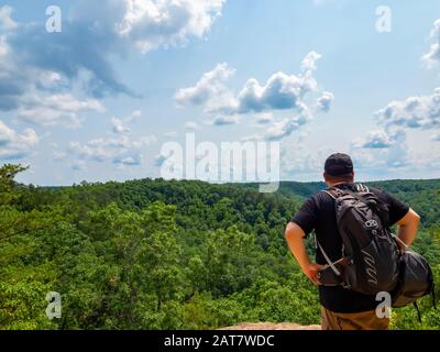 Mann, Wanderer, der auf der Natural Bridge in Kentucky steht und in den Himmel blickt, der von weit oben über die Baumkronen mit Wolken gefüllt ist. Stockfoto