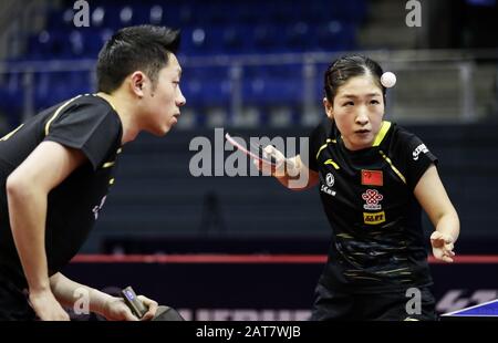 Magdeburg, Deutschland. Januar 2020. Xu Xin/Liu Shiwen (R) aus China treten während des Mixed-Doubles-Viertelfinalspiels gegen Ho Kwan Kit/Lee Ho Ching aus Hongkong aus China am 31. Januar 2020 in Magdeburg an. Kredit: Binh Truong/Xinhua/Alamy Live News Stockfoto