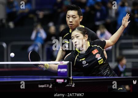 Magdeburg, Deutschland. Januar 2020. Xu Xin/Liu Shiwen (vorne) aus China treten während des Mixed-Doubles-Viertelfinalspiels gegen Ho Kwan Kit/Lee Ho Ching aus Hongkong aus China am 31. Januar 2020 in Magdeburg an. Kredit: Binh Truong/Xinhua/Alamy Live News Stockfoto