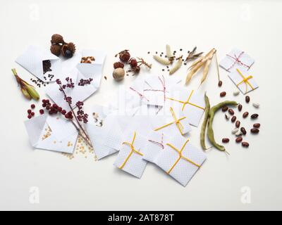 Selbstgemachte Weißpapierpakete mit auf Weiß isolierten Samen Stockfoto