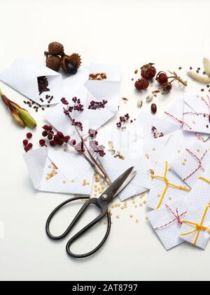 Selbstgemachte Weißpapierpakete mit auf Weiß isolierten Samen Stockfoto