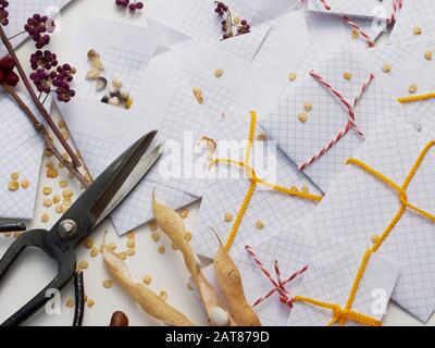 Selbstgemachte Weißpapierpakete mit auf Weiß isolierten Samen Stockfoto