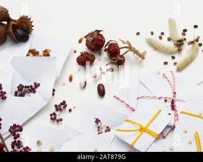 Selbstgemachte Weißpapierpakete mit auf Weiß isolierten Samen Stockfoto