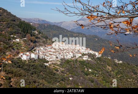 Weißes Stadtbild Algatocin im Valle del Genal Andalusien Spanien Stockfoto