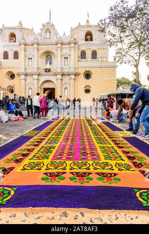 Antigua, Guatemala - 14. April 2019: Herstellung von gefärbtem Sägemehl Palme Sonntag Prozession Teppich von der Kirche La Merced in der UNESCO-Welterbestätte. Stockfoto