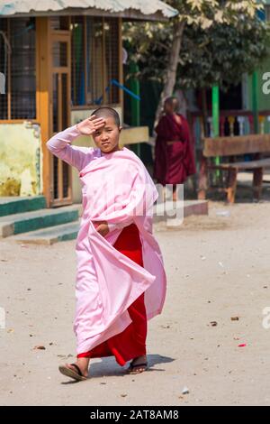 Junge Anfängernonne an der aung Myae Oo Monastic Free Education School, Sagaing, Mandalay, Myanmar (Birma), Asien im Februar Stockfoto