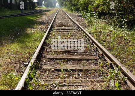 Schöne Aufnahme von Zuggleisen bedeckt mit Gras während des Tages Stockfoto