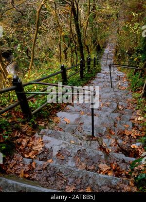 Jacob's Ladder, Mynach Falls, Devil's Bridge, Aberystwyth, Ceredigion, Wales. Ein steiler Flug von Steinschritten auf dem Waldspaziergang. Stockfoto