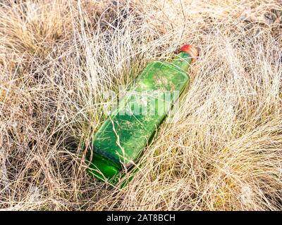 Leere Alkoholflaschen im Gras auf der Natur. Tourismus. Umgebung. Soziale Probleme. Müll. Stockfoto