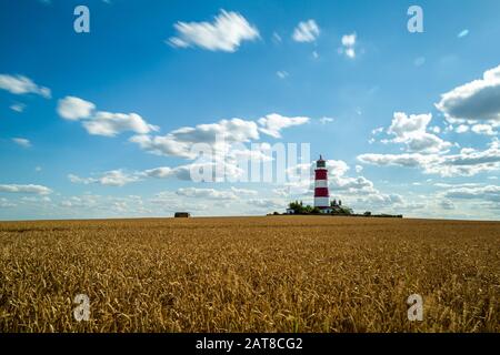 Happisburgh Lighthouse, Norfolk, über ein Maisfeld Stockfoto