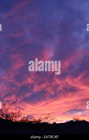 Der Sonnenuntergang am Rande von 29 Palmen über der heimischen Ökologie der südlichen Mojave-Wüste gewährt uns einen harmonischen Einblick in den Respekt, den wir für unsere Welt brauchen. Stockfoto