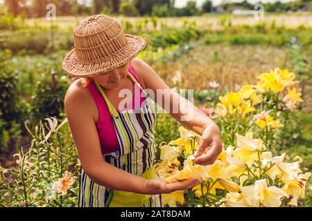 Seniorin kümmert sich um Blumen im Garten. Gärtner überprüft Lilienblätter. Sommeraktivitäten. Gartenkonzept Stockfoto