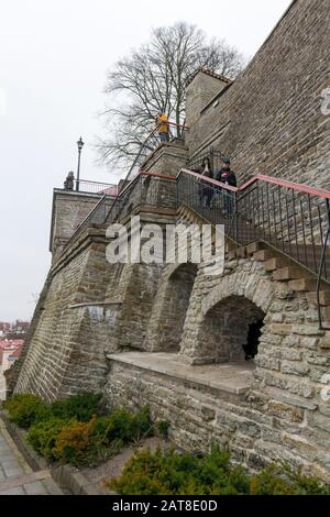 Abschnitt der befestigten Mauer um Vanalinn (Altstadt) mit Stufen, die zum beliebten Touristenaussichtsort, Tallinn, Estland, führen Stockfoto