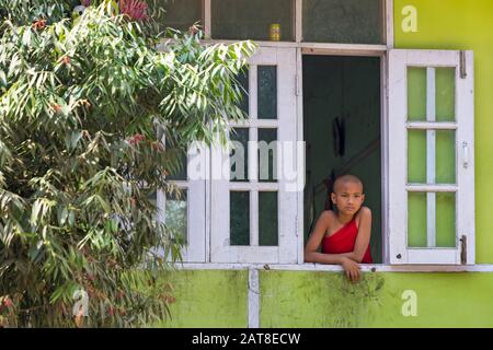 Junger buddhistischer Novize, der im Februar aus dem Fenster der Aung Myae Oo Monastic Free Education School in Sagaing, Mandalay, Myanmar (Burma), Asien schaut Stockfoto