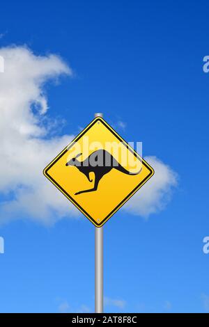 Straßenschild vor Kängurus, Australien Stockfoto