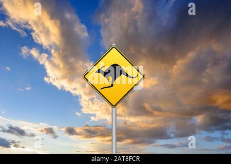 Straßenschild vor Kängurus, Australien Stockfoto