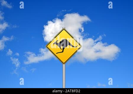 Straßenschild vor Kängurus, Australien Stockfoto